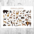 Arizona Mammals Field Guide Art Print - Animals Of Arizona - Nature Print - Wildlife - Poster | Canvas Wall Art Print
