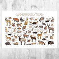 Texas Land Mammals Field Guide Art Print - Animals Of Texas - Nature Print - Wildlife - Poster | Canvas Wall Art Print