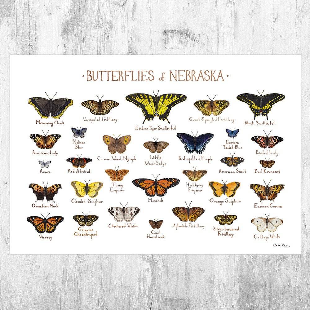 Nebraska Butterflies Field Guide Art Print - Butterfly - Nature Print - Poster | Canvas Wall Art Print