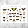 North Dakota Butterflies Field Guide Art Print - Butterfly - Nature Print - Poster | Canvas Wall Art Print