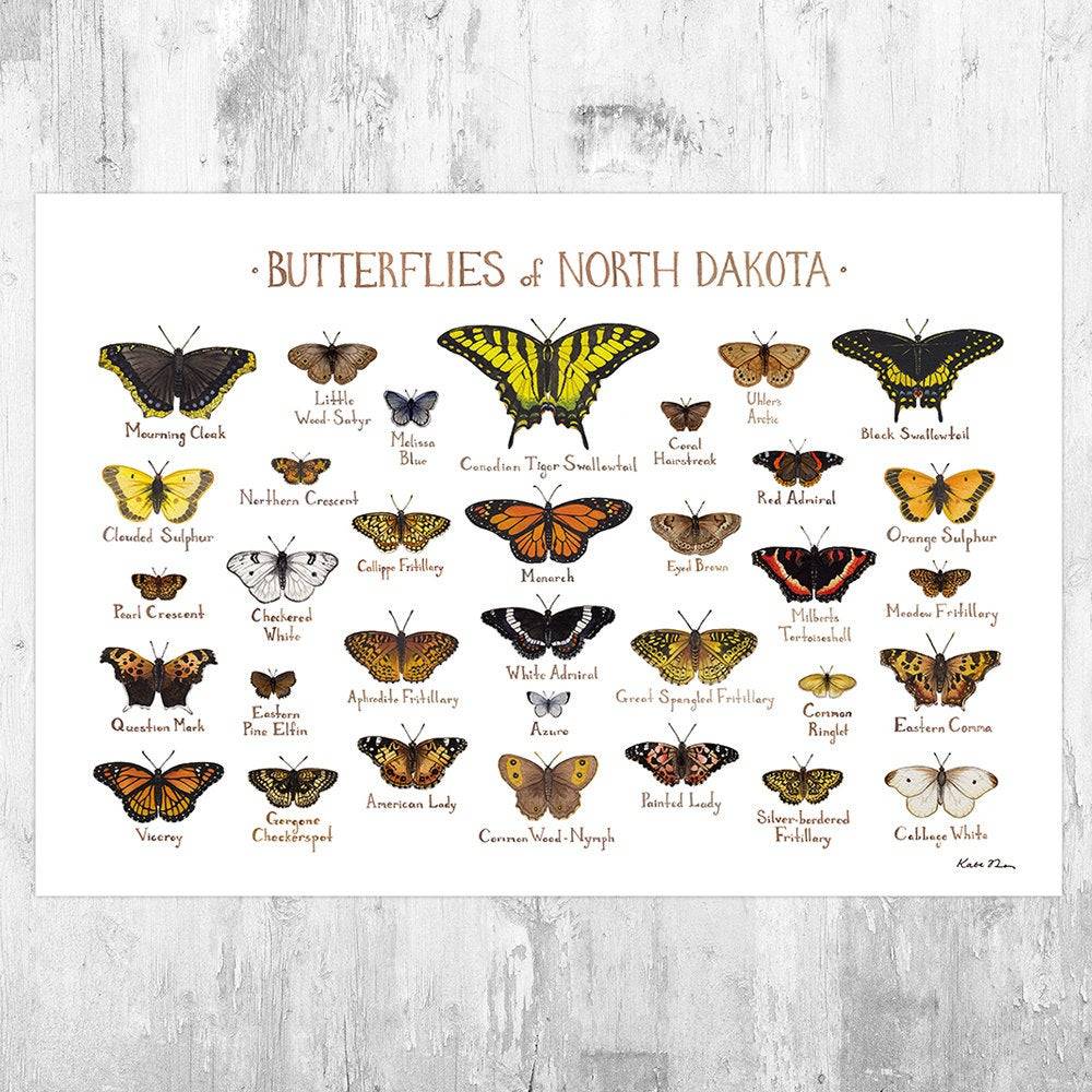 North Dakota Butterflies Field Guide Art Print - Butterfly - Nature Print - Poster | Canvas Wall Art Print