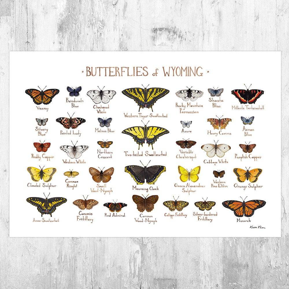 Wyoming Butterflies Field Guide Art Print - Butterfly - Nature Print - Poster | Canvas Wall Art Print
