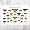 Iowa Butterflies Field Guide Art Print - Butterfly - Nature Print - Poster | Canvas Wall Art Print