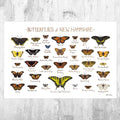 New Hampshire Butterflies Field Guide Art Print - Butterfly - Nature Print - Poster | Canvas Wall Art Print