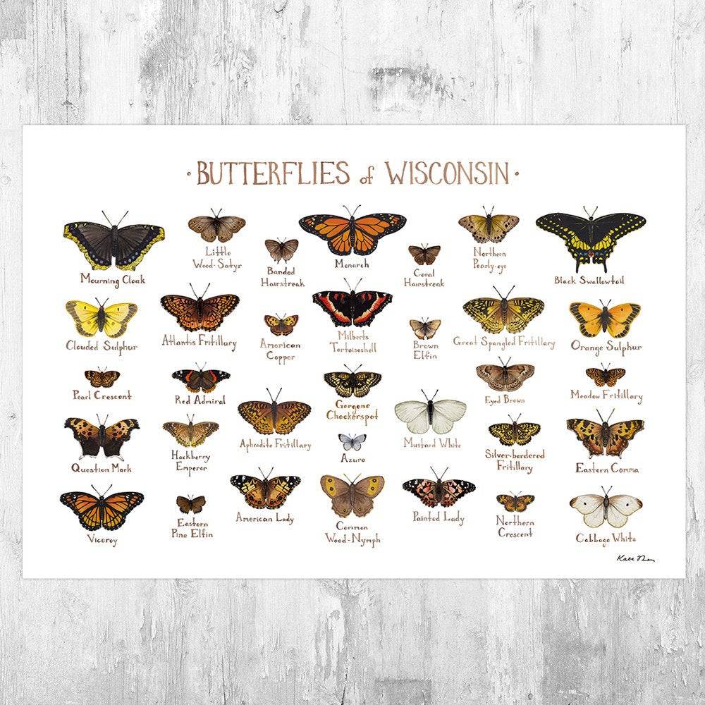 Wisconsin Butterflies Field Guide Art Print - Butterfly - Nature Print - Poster | Canvas Wall Art Print