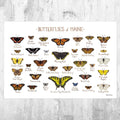 Maine Butterflies Field Guide Art Print - Butterfly - Nature Print - Poster | Canvas Wall Art Print