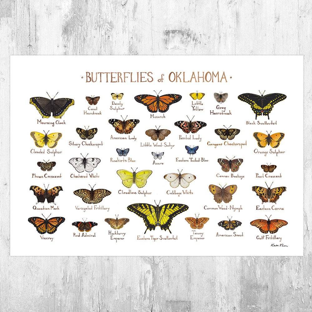 Oklahoma Butterflies Field Guide Art Print - Butterfly - Nature Print - Poster | Canvas Wall Art Print