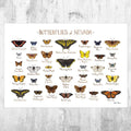 Nevada Butterflies Field Guide Art Print - Butterfly - Nature Print - Poster | Canvas Wall Art Print