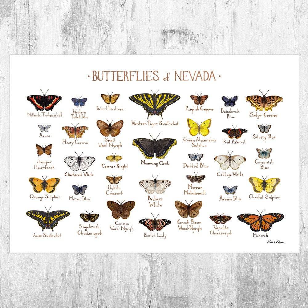 Nevada Butterflies Field Guide Art Print - Butterfly - Nature Print - Poster | Canvas Wall Art Print