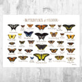Missouri Butterflies Field Guide Art Print - Butterfly - Nature Print - Poster | Canvas Wall Art Print