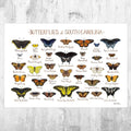 South Carolina Butterflies Field Guide Art Print - Butterfly - Nature Print - Poster | Canvas Wall Art Print