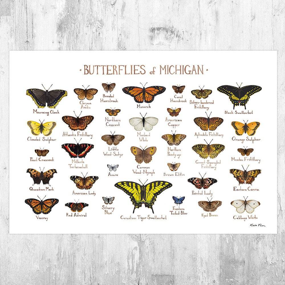 Michigan Butterflies Field Guide Art Print - Butterfly - Nature Print - Poster | Canvas Wall Art Print