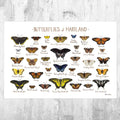 Maryland Butterflies Field Guide Art Print - Butterfly - Nature Print - Poster | Canvas Wall Art Print