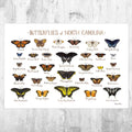 North Carolina Butterflies Field Guide Art Print - Butterfly - Nature Print - Poster | Canvas Wall Art Print