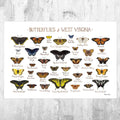 West Virginia Butterflies Field Guide Art Print - Butterfly - Nature Print - Poster | Canvas Wall Art Print