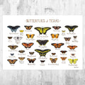 Texas Butterflies Field Guide Art Print - Butterfly - Nature Print - Poster | Canvas Wall Art Print
