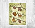 Sloths Field Guide Art Print - Nature Print - Wildlife Art - Poster | Canvas Wall Art Print