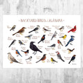 Alabama Backyard Birds Field Guide Art Print - Nature Print - Bird - Poster | Canvas Wall Art Print