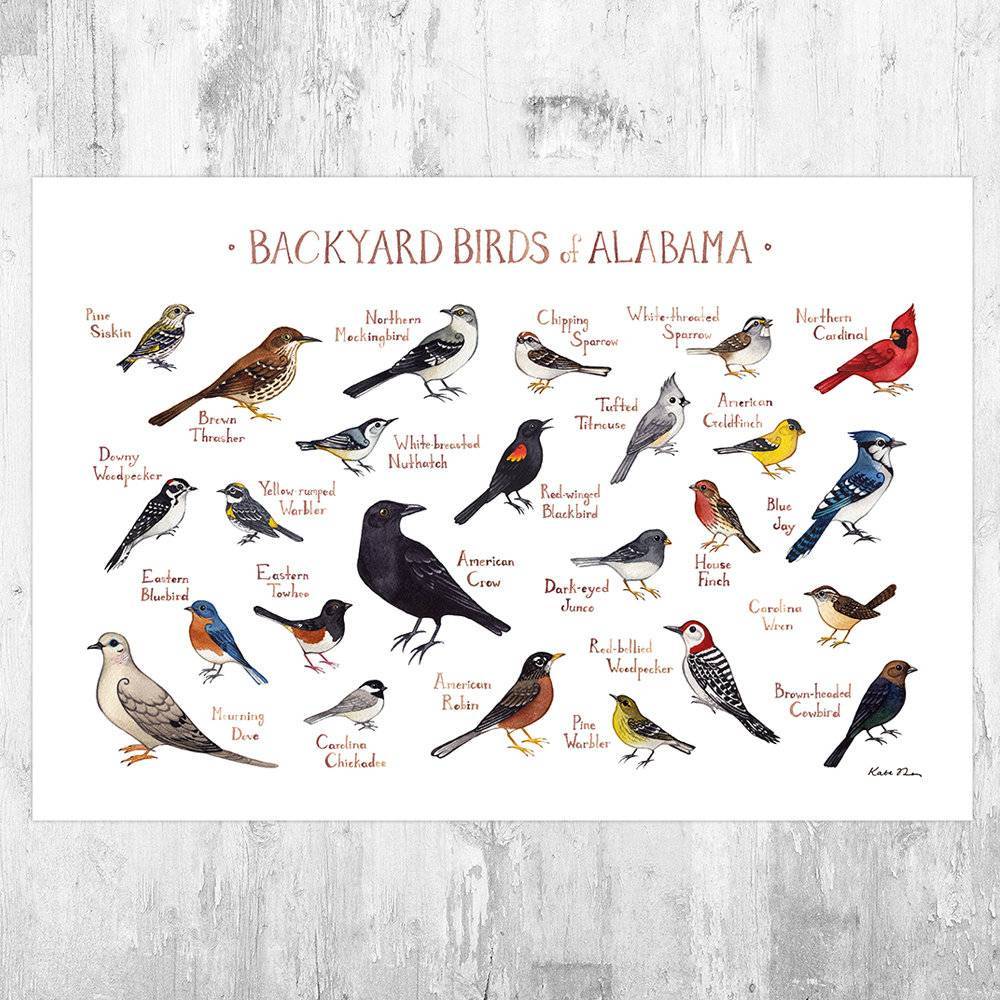 Alabama Backyard Birds Field Guide Art Print - Nature Print - Bird - Poster | Canvas Wall Art Print