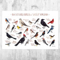 West Virginia Backyard Birds Field Guide Art Print - Nature Print - Bird - Poster | Canvas Wall Art Print