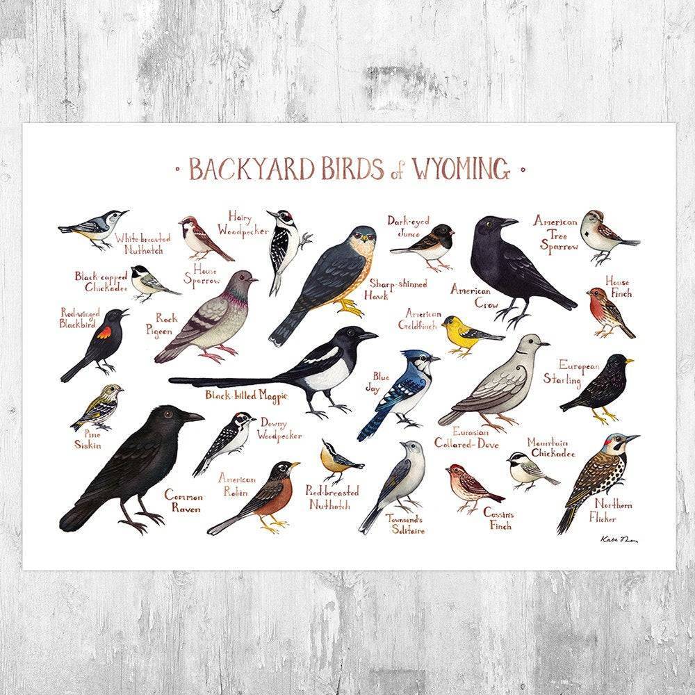 Wyoming Backyard Birds Field Guide Art Print - Nature Print - Bird - Poster | Canvas Wall Art Print