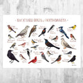 North Dakota Backyard Birds Field Guide Art Print - Nature Print - Bird - Poster | Canvas Wall Art Print