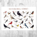Vermont Backyard Birds Field Guide Art Print - Nature Print - Bird - Poster | Canvas Wall Art Print