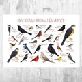 New Jersey Backyard Birds Field Guide Art Print - Nature Print - Bird - Poster | Canvas Wall Art Print