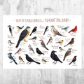 Rhode Island Backyard Birds Field Guide Art Print - Nature Print - Bird - Poster | Canvas Wall Art Print