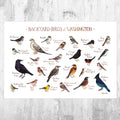 Washington Backyard Birds Field Guide Art Print - Nature Print - Bird - Poster | Canvas Wall Art Print