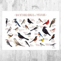 Missouri Backyard Birds Field Guide Art Print - Nature Print - Bird - Poster | Canvas Wall Art Print