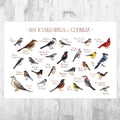 Georgia Backyard Birds Field Guide Art Print - Nature Print - Bird - Poster | Canvas Wall Art Print