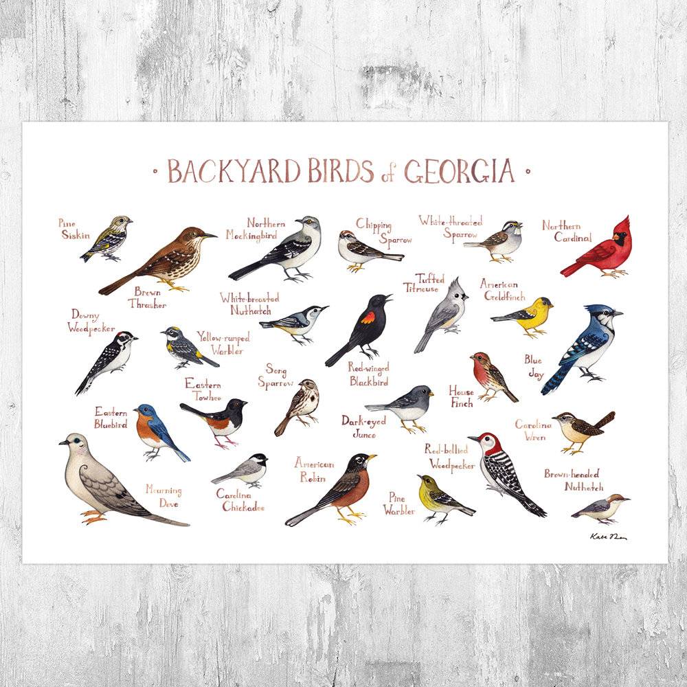 Georgia Backyard Birds Field Guide Art Print - Nature Print - Bird - Poster | Canvas Wall Art Print