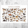 Kansas Mammals Field Guide Art Print - Animals Of Kansas - Nature Print - Wildlife - Poster | Canvas Wall Art Print