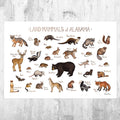 Alabama Land Mammals Field Guide Art Print - Animals Of Alabama - Nature Print - Wildlife - Poster | Canvas Wall Art Print