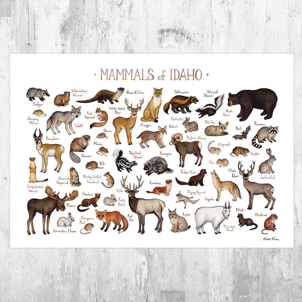 Idaho Mammals Field Guide Art Print - Animals Of Idaho - Nature Print - Wildlife - Poster | Canvas Wall Art Print