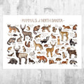 North Dakota Mammals Field Guide Art Print - Animals Of North Dakota - Nature Print - Wildlife - Poster | Canvas Wall Art Print