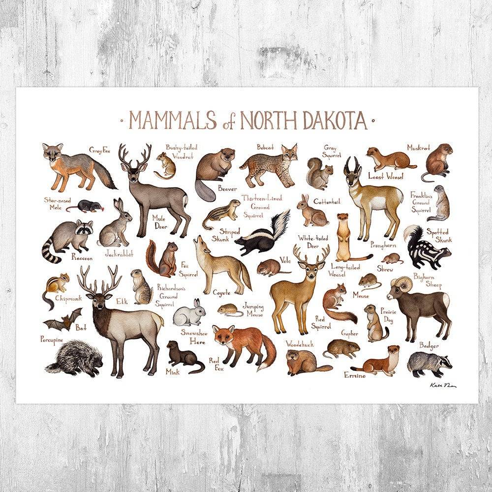 North Dakota Mammals Field Guide Art Print - Animals Of North Dakota - Nature Print - Wildlife - Poster | Canvas Wall Art Print