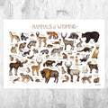 Wyoming Mammals Field Guide Art Print - Animals Of Wyoming - Nature Print - Wildlife - Poster | Canvas Wall Art Print