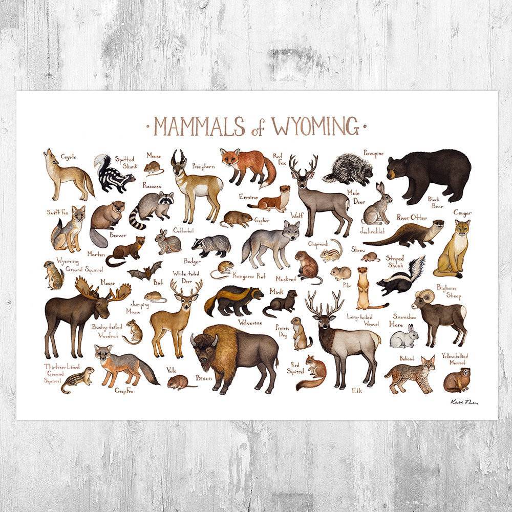 Wyoming Mammals Field Guide Art Print - Animals Of Wyoming - Nature Print - Wildlife - Poster | Canvas Wall Art Print