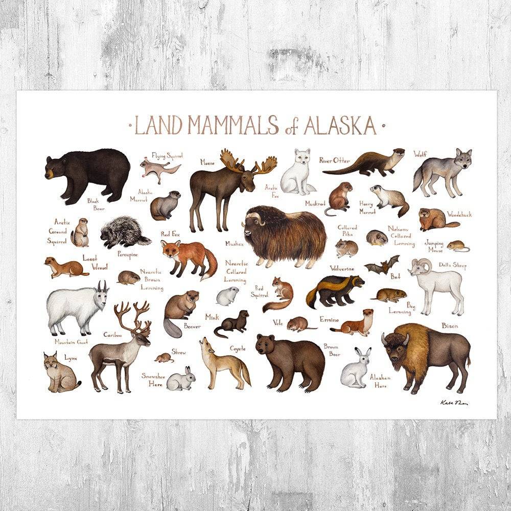 Alaska Land Mammals Field Guide Art Print - Animals Of Alaska - Nature Print - Wildlife - Poster | Canvas Wall Art Print