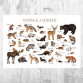 Vermont Mammals Field Guide Art Print - Animals Of Vermont - Nature Print - Wildlife - Poster | Canvas Wall Art Print
