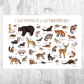 Washington, D.C. Land Mammals Field Guide Art Print - Animals Of The District Of Columbia - Nature Print - Wildlife - Poster | Canvas Wall Art Print