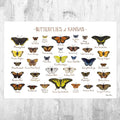 Kansas Butterflies Field Guide Art Print - Butterfly - Nature Print - Poster | Canvas Wall Art Print