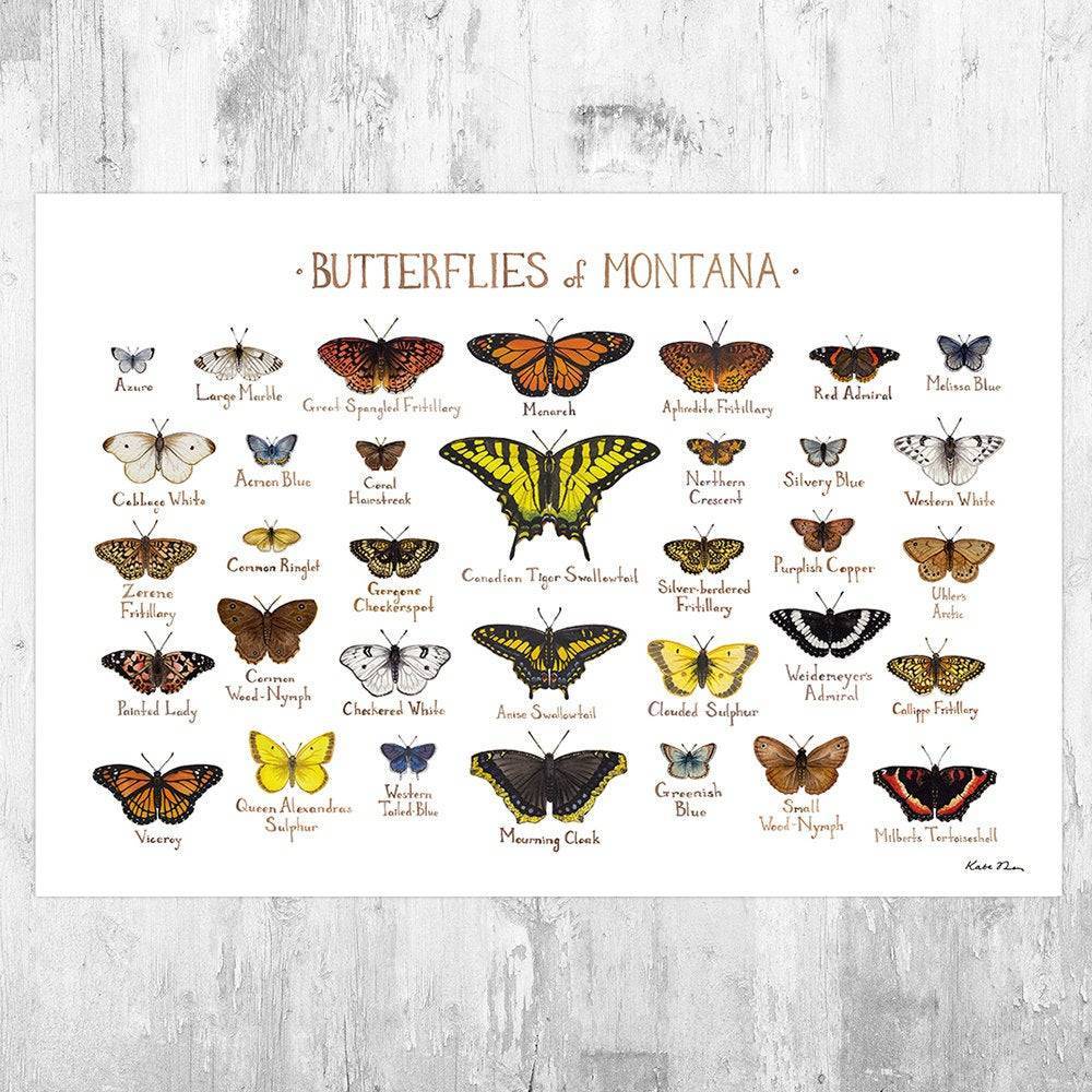 Montana Butterflies Field Guide Art Print - Butterfly - Nature Print - Poster | Canvas Wall Art Print