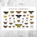 Connecticut Butterflies Field Guide Art Print - Butterfly - Nature Print - Poster | Canvas Wall Art Print