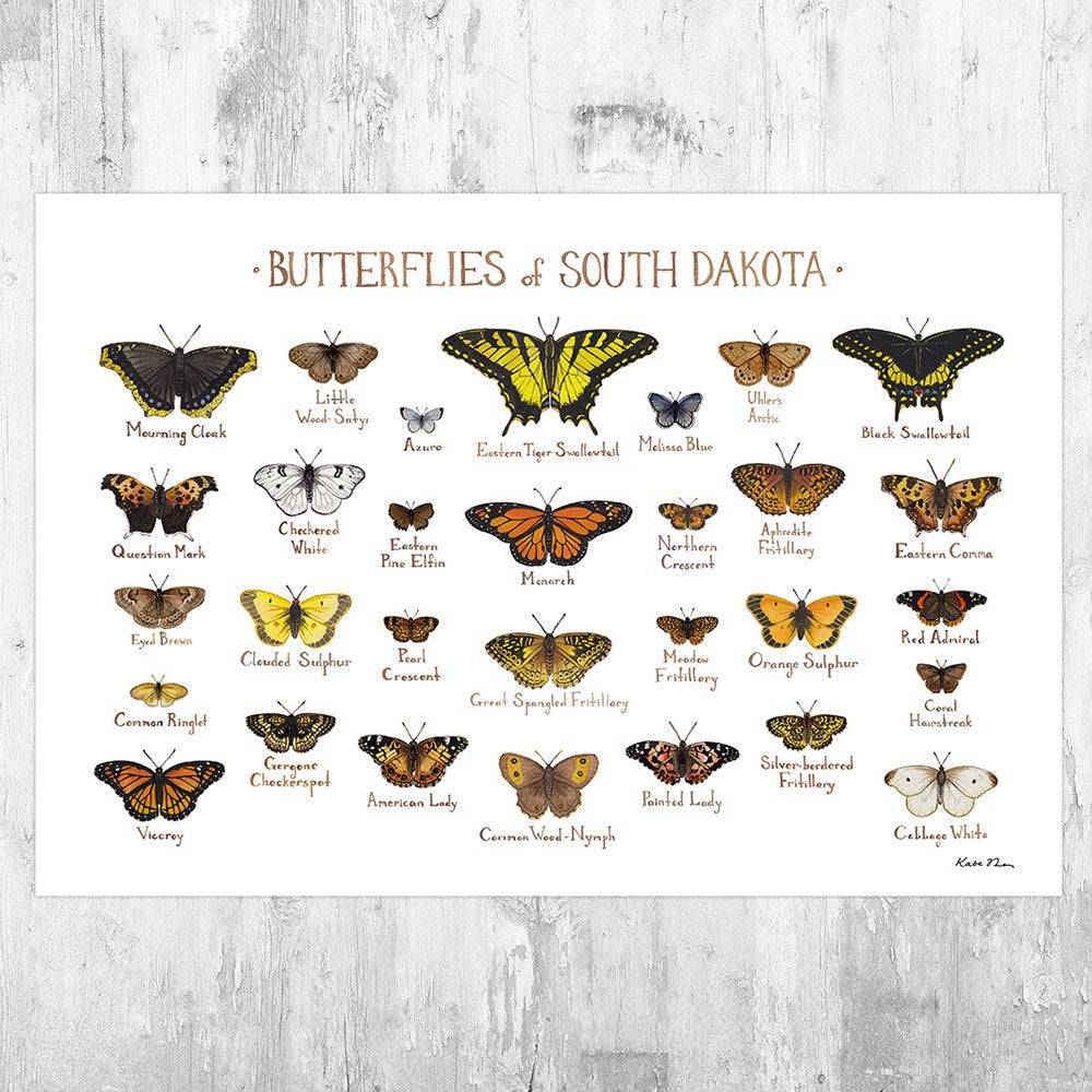 South Dakota Butterflies Field Guide Art Print - Butterfly - Nature Print - Poster | Canvas Wall Art Print
