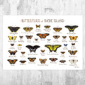 Rhode Island Butterflies Field Guide Art Print - Butterfly - Nature Print - Poster | Canvas Wall Art Print