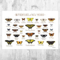 New Mexico Butterflies Field Guide Art Print - Butterfly - Nature Print - Poster | Canvas Wall Art Print