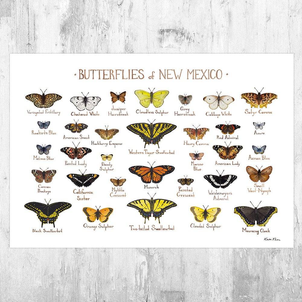 New Mexico Butterflies Field Guide Art Print - Butterfly - Nature Print - Poster | Canvas Wall Art Print